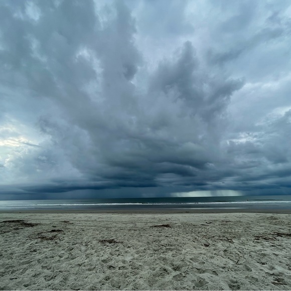 Meet your Posher, Harmony - Picture 8 of 8